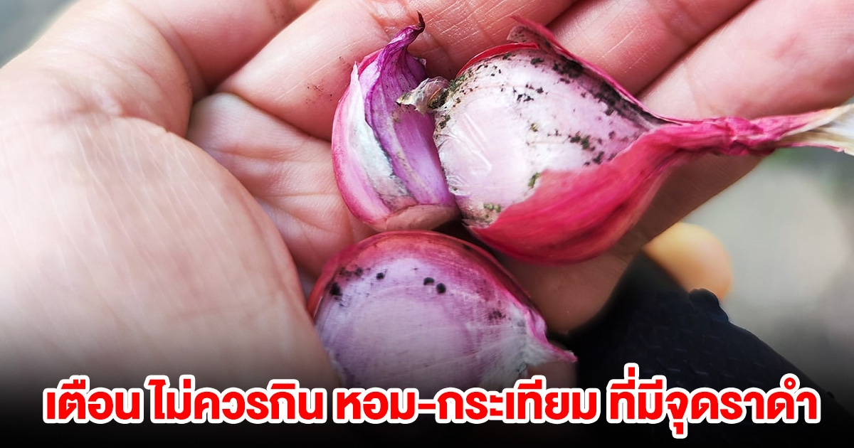 ภัยใกล้ตัว อ.เจษฎา เตือน ไม่ควรกิน หอม-กระเทียม ที่มีจุดราดำ