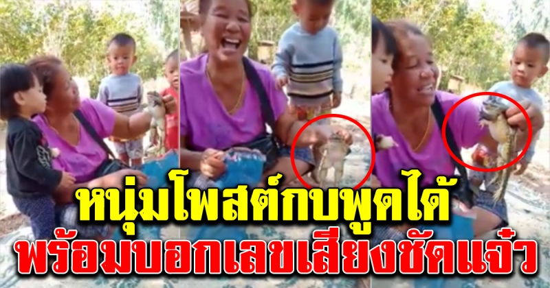 หนุ่มโพสต์คลิปกบพูดได้