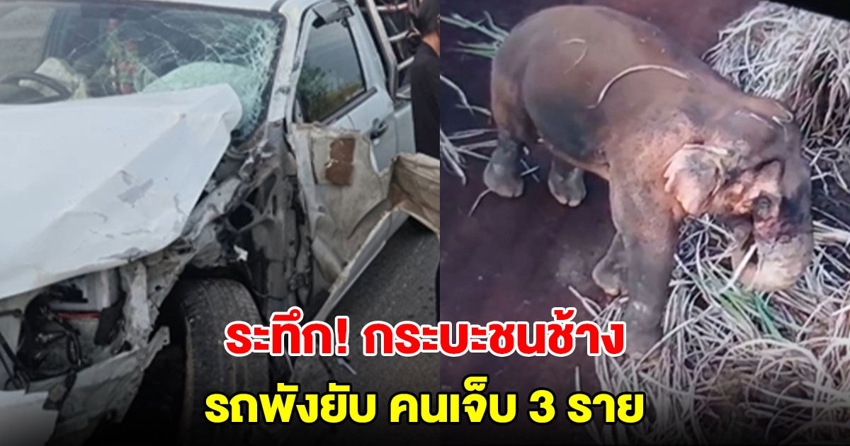 กระบะชนช้าง รถพังยับ คนบาดเจ็บ 3 ราย คาดเป็นเจ้าสีดอโหนก