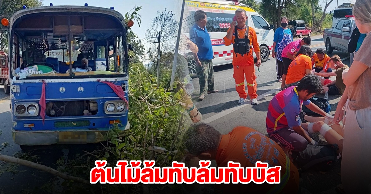 ด่วน! คนลอบต้นไม้ ล้มทับรถบัส 30 ชีวิต เจ็บระนาว ขอให้ทุกคนปลอดภัย