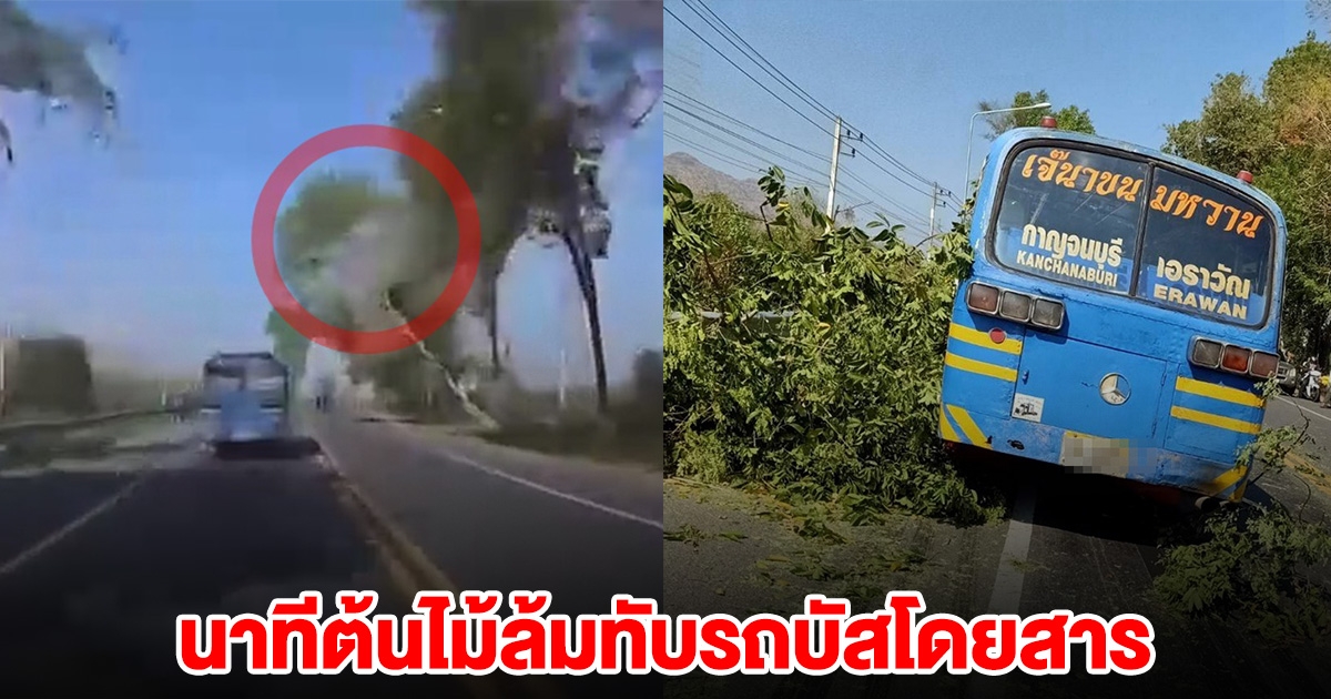 เผยนาที ต้นไม้ล้มทับบัสโดยสาร ขณะกำลังวิ่ง เจ็บ 9 ราย
