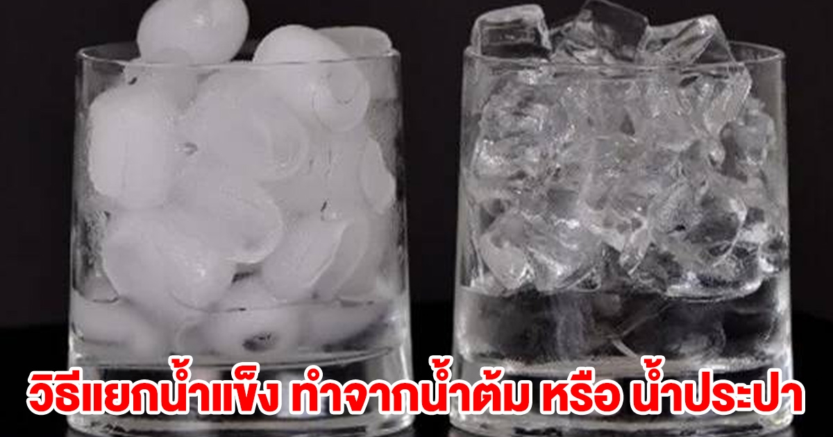 วิธีแยกน้ำแข็ง ทำจากน้ำต้ม หรือ น้ำประปา