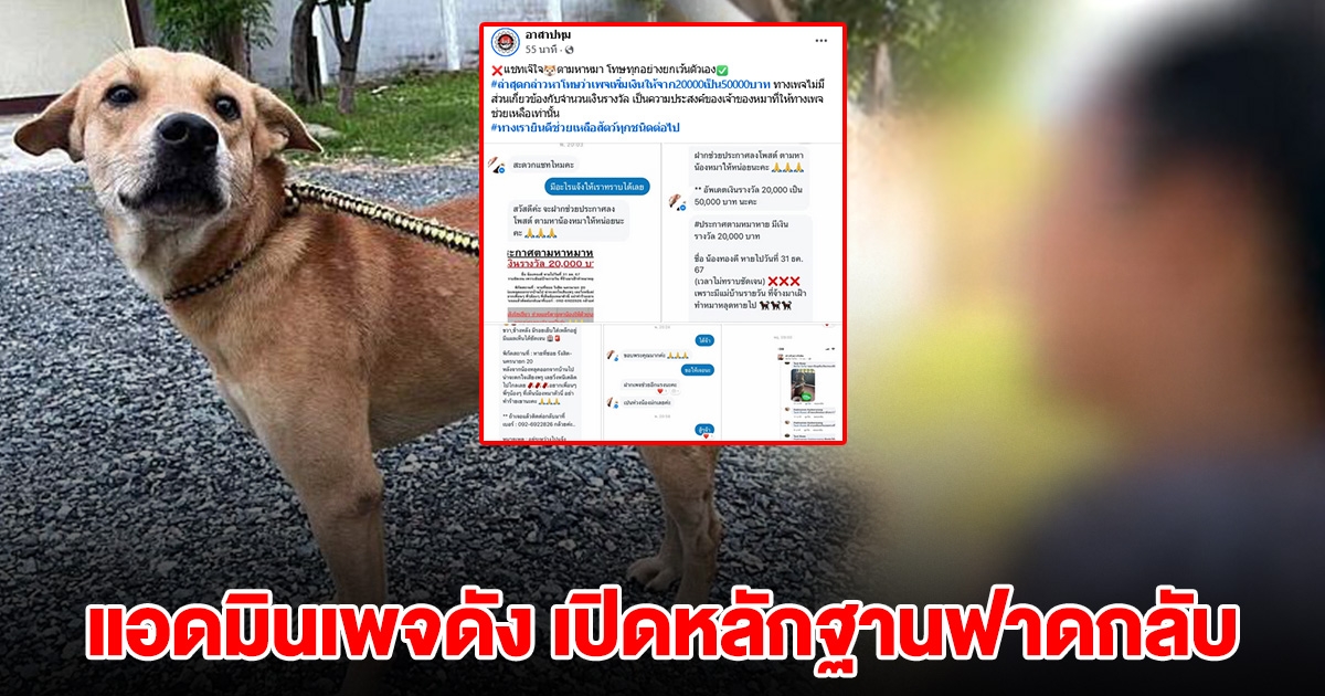 แอดมินเพจดัง เปิดหลักฐานฟาดกลับ หลังเจ้าของหมาโบ๊ย เพจเพิ่มเงินรางวัลเอง โหนกระแสต้องเข้าแล้ว