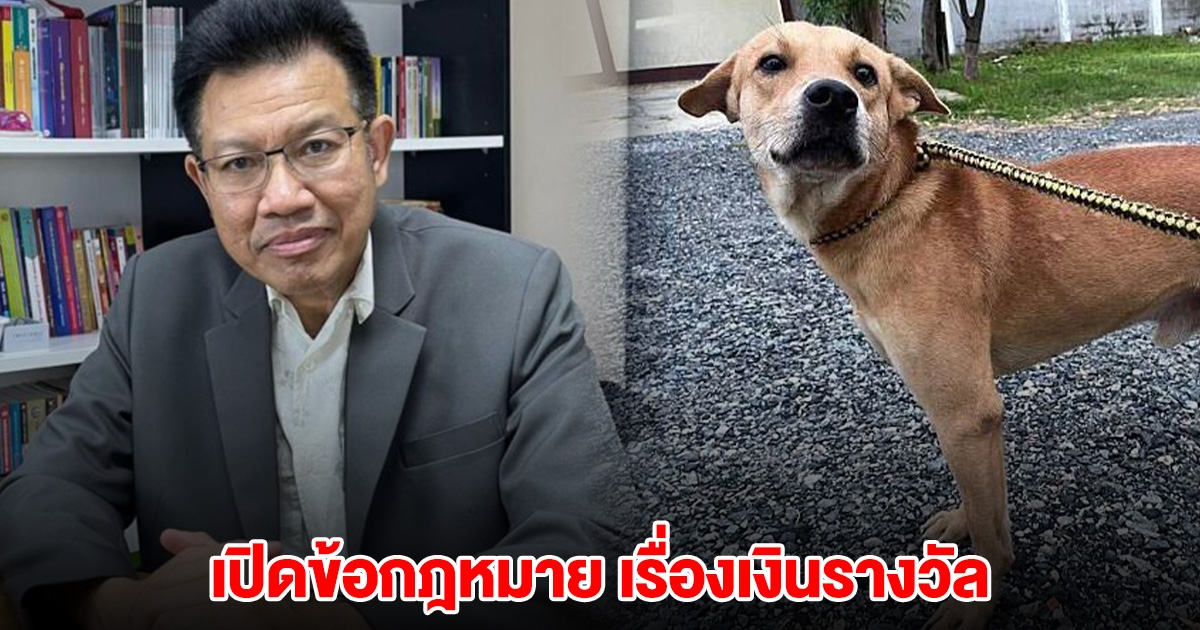 ทนายเดชา ที่ปรึกษาเจ้าของหมา เปิดข้อกฎหมายให้ดู เรื่องเงินรางวัล