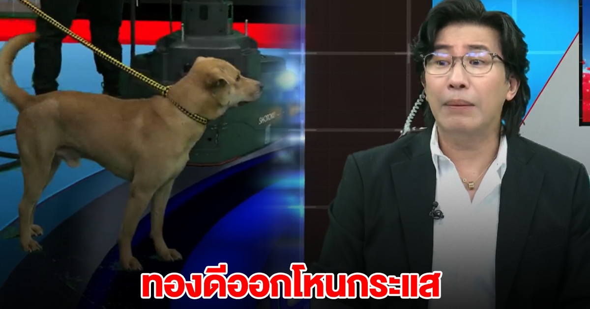 ฮือฮา เจ้าทองดี สุนัขตัวต้นเรื่อง ออกรายการโหนกระแส