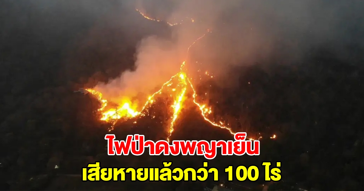 ไฟป่าดงพญาเย็น เสียหายแล้วกว่า 100 ไร่ ตั้งแต่ต้นปีไหม้แล้ว 3 ครั้ง