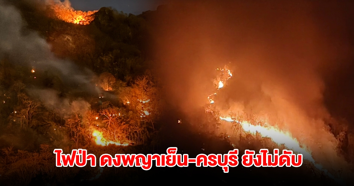 สถานการณ์ไฟป่า ดงพญาเย็น-ครบุรี ยังไม่ดับ ปะทุเป็นระยะ ลามถึงหน้าพูลวิลล่าแล้ว