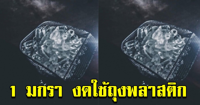 1 มกราคม บอกลาพลาสติก