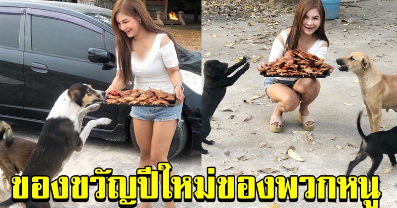 สาวนำของขวัญปีใหม่ มาให้สุนัข