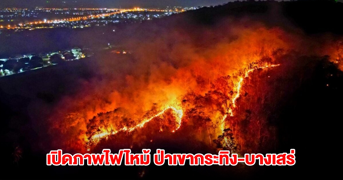 เปิดภาพไฟไหม้ ป่าเขากระทิง-บางเสร่ จนท.เร่งทำแนวป้องกันหวั่นลามเข้าหมู่บ้าน