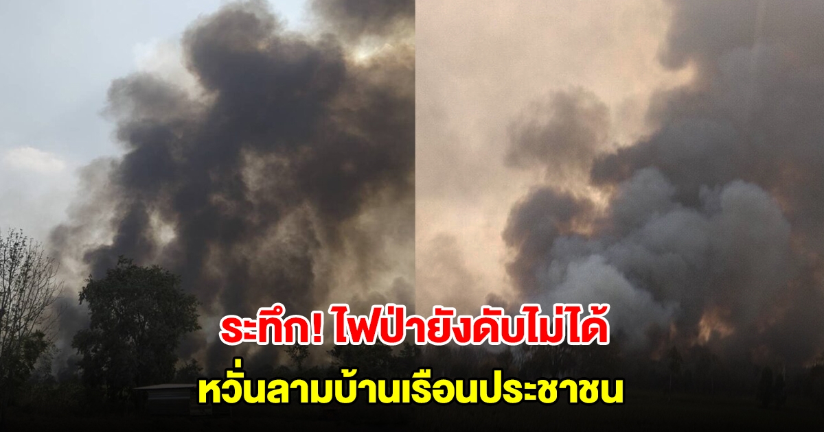 ระทึก! ไฟป่าสถานีวิจัยฯ สะแกราช ยังดับไม่ได้ หวั่นลามบ้านเรือนประชาชน