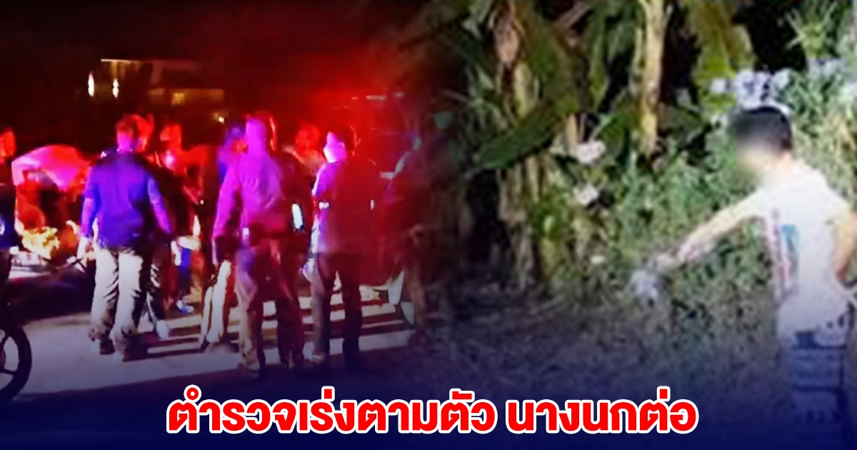 ตำรวจเร่งตามตัว นางนกต่อ หลังลวงหนุ่มออกมานัดเจอ แล้วมีกลุ่มชายฉกรรจ์ ออกมาลั่นไก