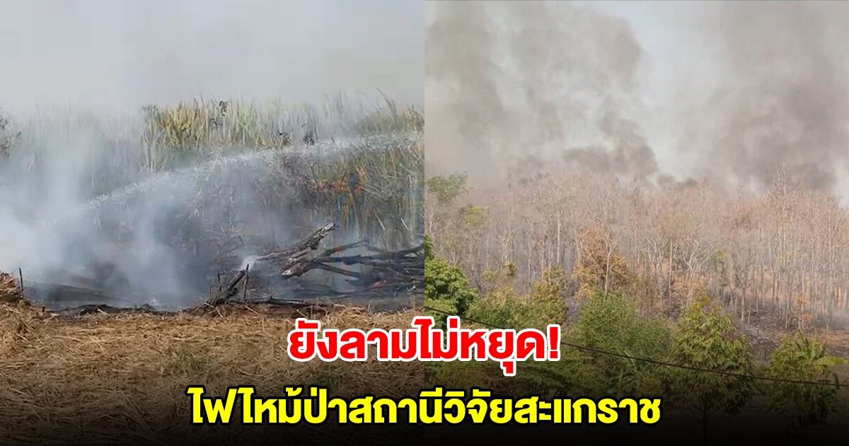 ยังลามไม่หยุด! ไฟไหม้ป่าสถานีวิจัยสะแกราช ล่าสุดโรงเรียนประกาศหยุดเรียนแล้ว