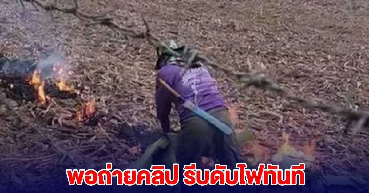 หนุ่มสุดทน คุยกับลุงเผาตอข้าวโพดไม่ฟัง พอหยิบมือถือมาถ่ายคลิป รีบดับไฟทันที