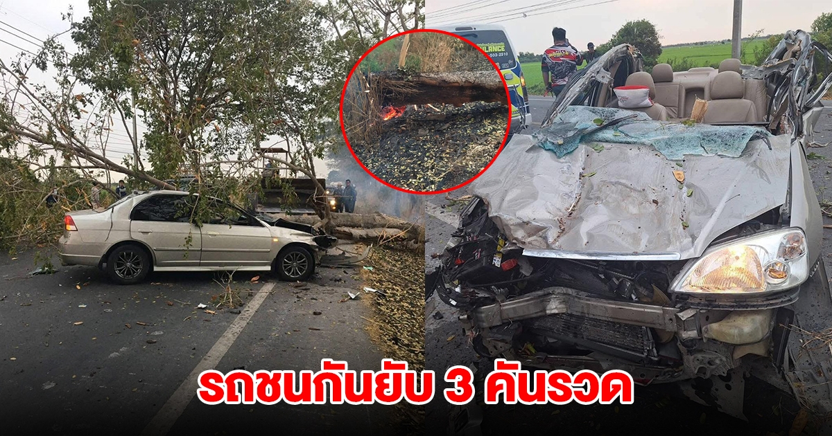 จุดไฟลามไหม้โคนต้นไม้ข้างทาง ลมพัดล้มขวางถนน รถชนกันยับ 3 คันรวด