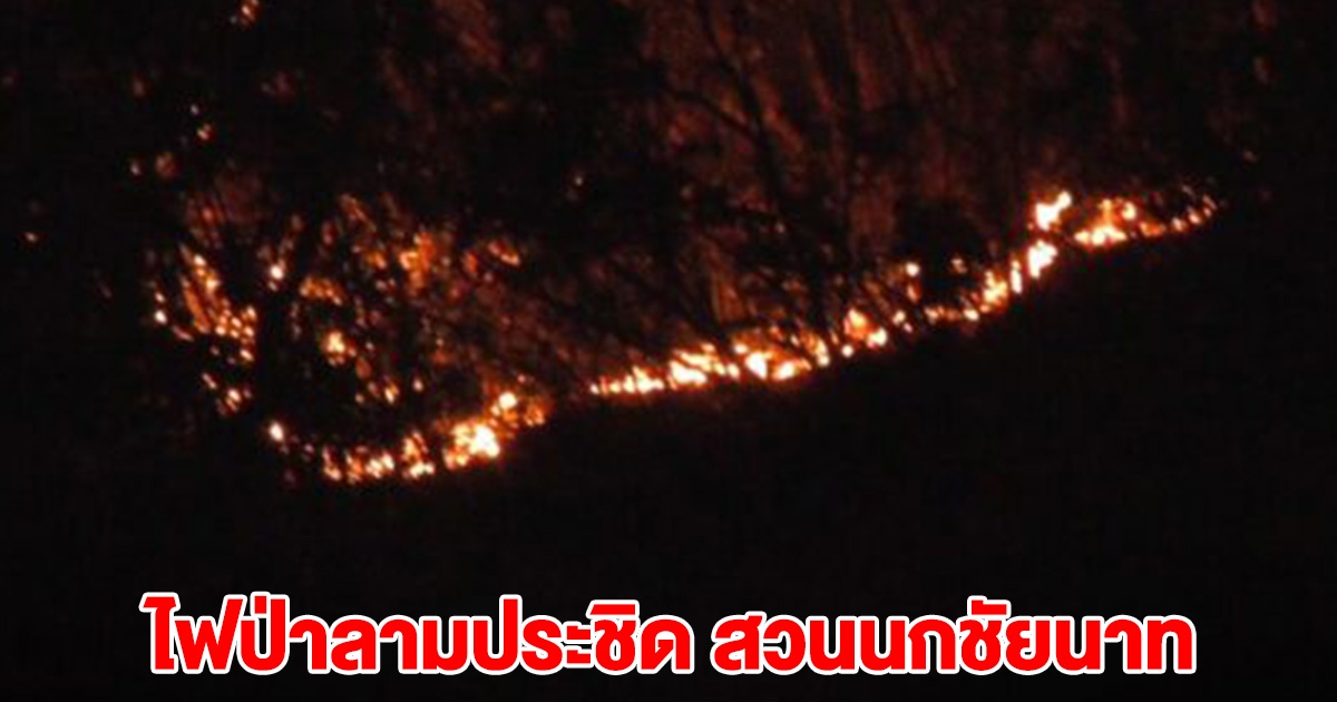 ด่วน! ไฟป่าลามประชิด สวนนกชัยนาท เร่งระดมรถดับเพลิง