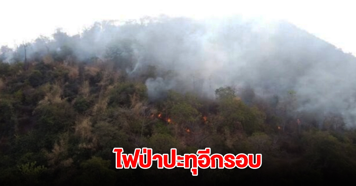 ไฟป่าเขาพลองปะทุอีกรอบ เช้านี้ลาม 10 ไร่