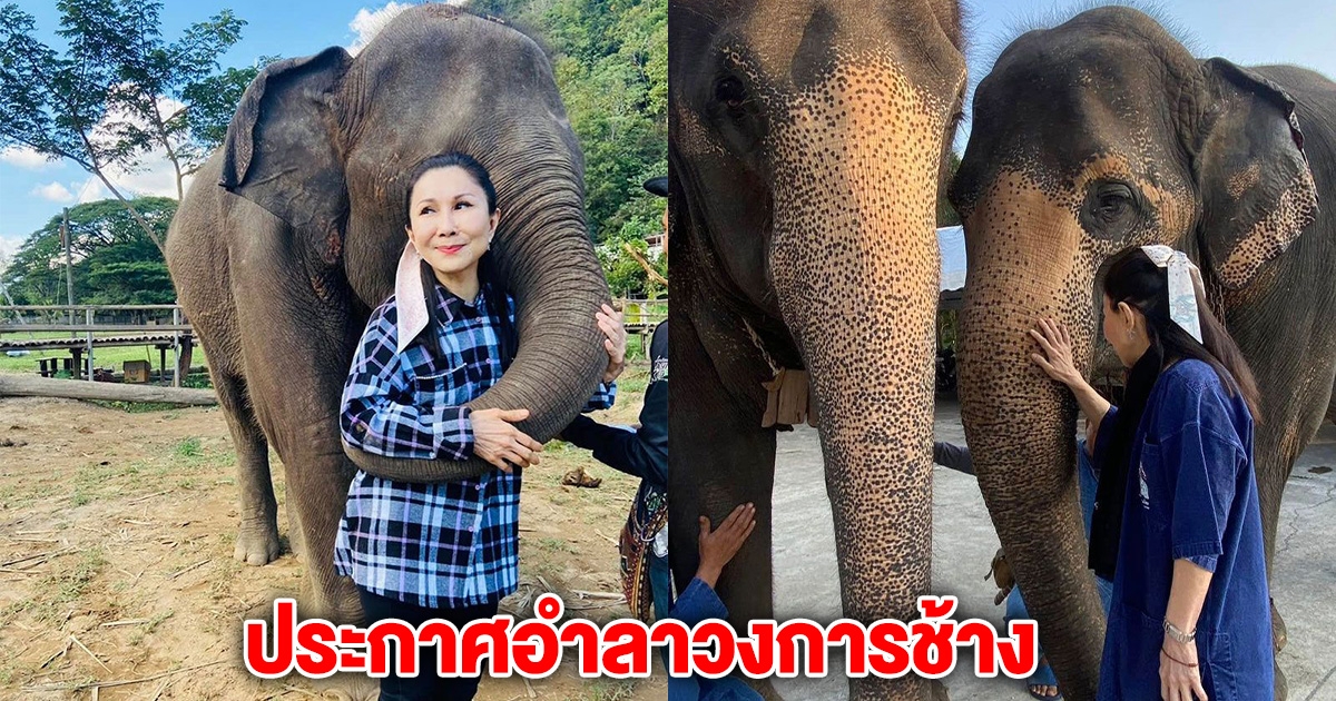 โบกมือลา! หนูนา กัญจนา ท้อ โดนใส่ร้ายตามคนไม่ทัน ประกาศอำลาวงการช้าง