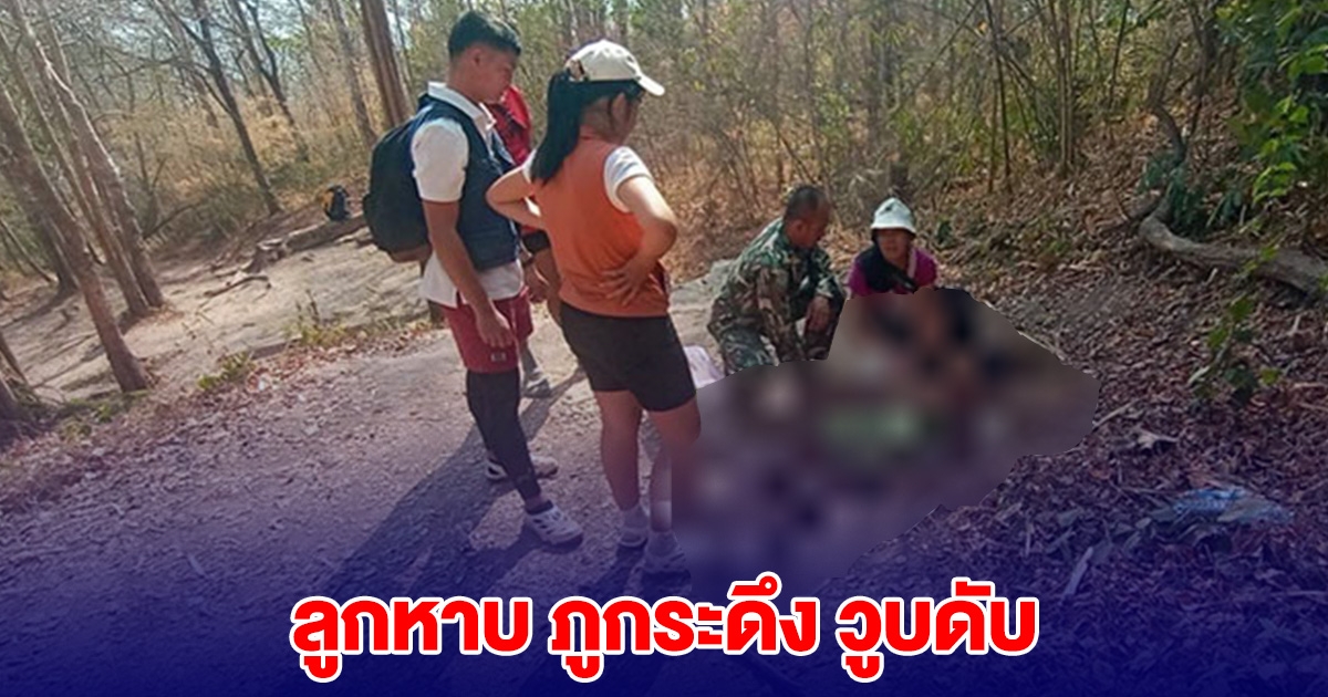 ลูกหาบ ภูกระดึง วูบดับ ระหว่างเดินขึ้นเขา