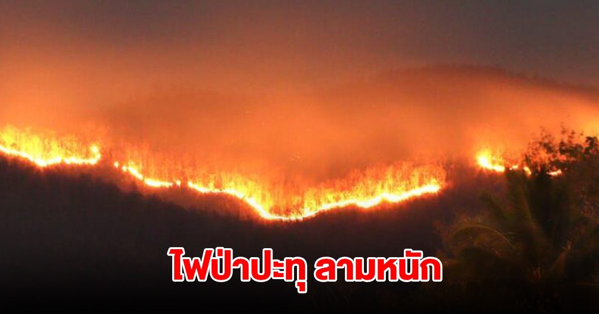 ทหาร-ชาวบ้าน เร่งระดมดับไฟป่าภูสะนาว ปะทุลามเป็นบริเวณกว้าง