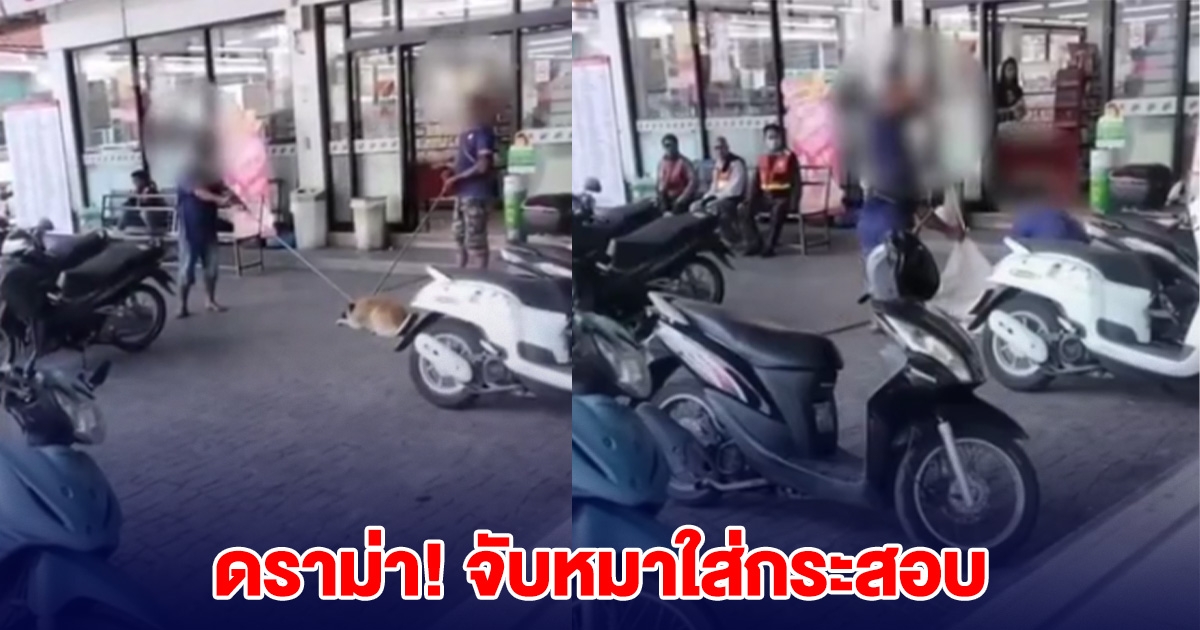 ดราม่า! จับหมาจร ใส่ถุงกระสอบ ล่าสุดคนจับโดนไล่ออก