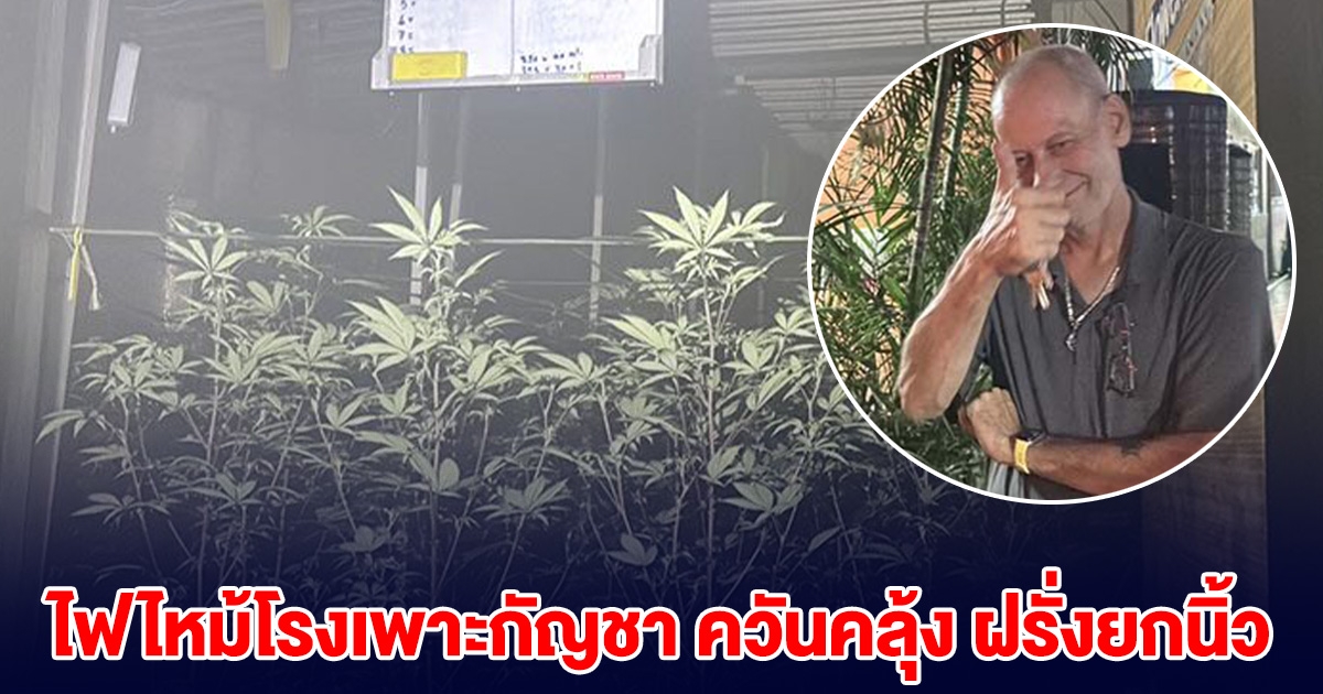 ระทึกพัทยา! ไฟไหม้โรงเพาะกัญชา ควันคลุ้ง ฝรั่งยกนิ้ว ตาเยิ้มฉ่ำ