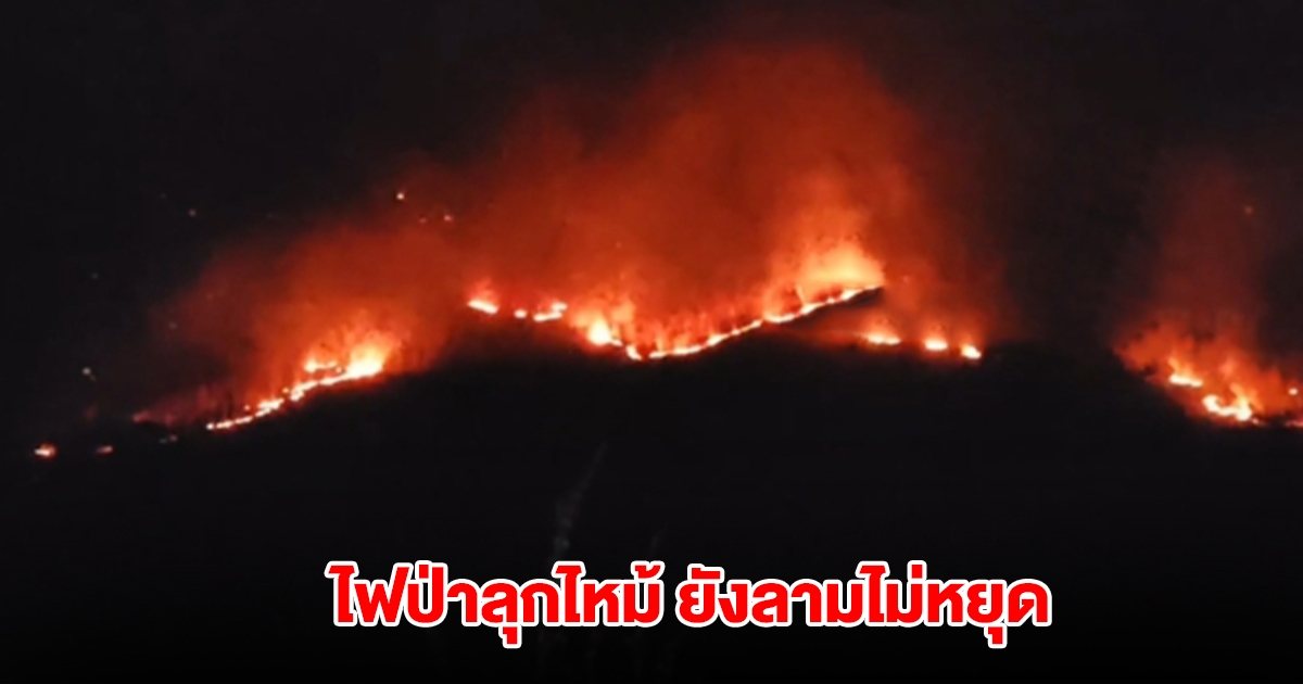 ยังลามไม่หยุด! ไฟป่าลุกไหม้เขาคอกช้าง ขยายวงกว้างกว่า 700-800 ไร่