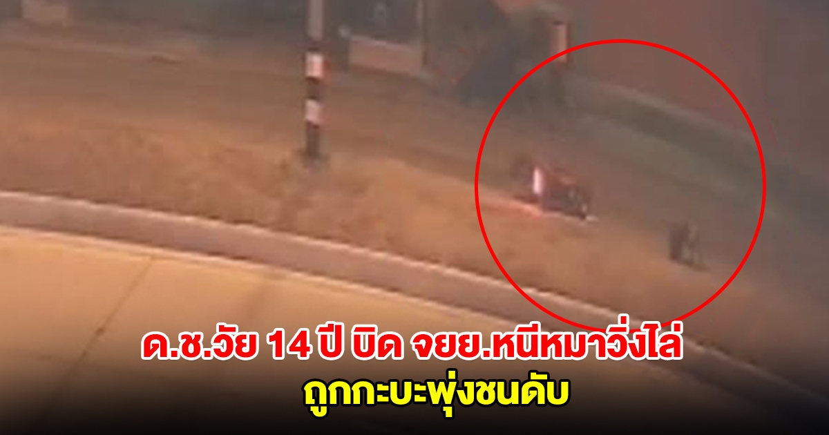 ด.ช.วัย 14 ปี บิด จยย.หนีหมาวิ่งไล่ ถูกกระบะพุ่งชน ก่อนถูกกระบะตู้ทึบตามหลังมาทับซ้ำจนเสียชีวิต