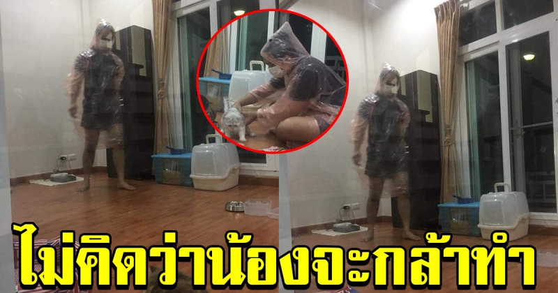 สาวไม่อยู่บ้าน ให้น้องชายช่วยเลี้ยงแมว