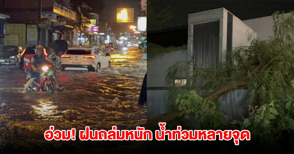 พัทยาอ่วม! ฝนถล่มหนัก น้ำท่วมหลายจุด ต้นไม้ล้มทับบ้านและรถเสียหาย