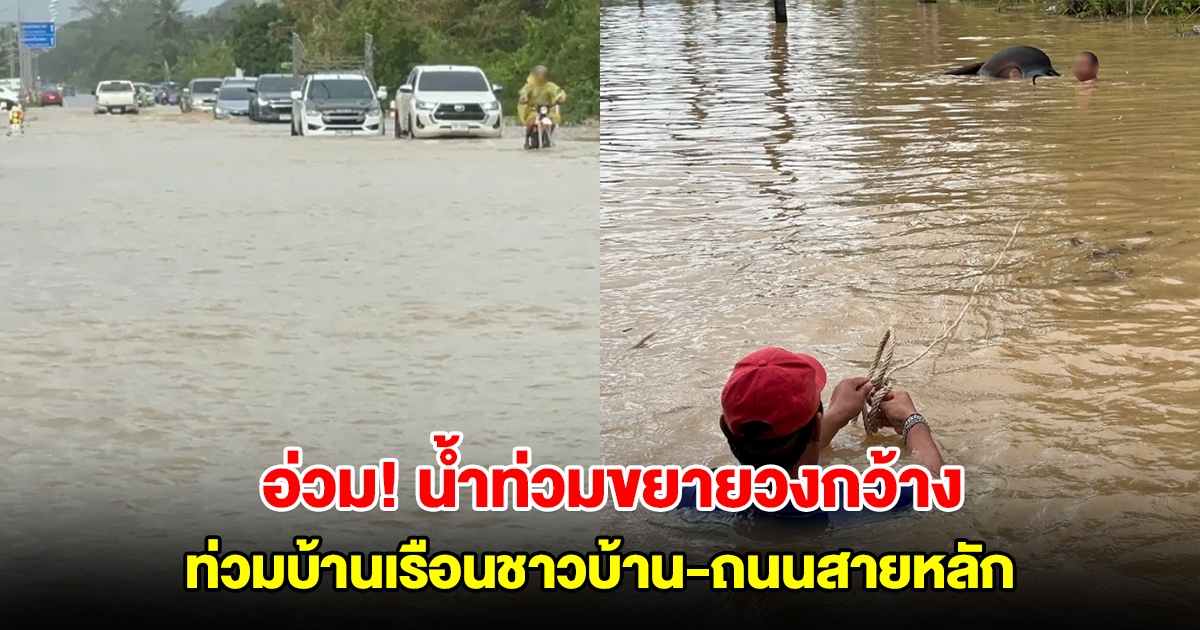 พัทลุงน้ำท่วมขยายวงกว้าง ท่วมบ้านเรือนชาวบ้าน-ถนนสายหลัก เกือบ 2 เมตร