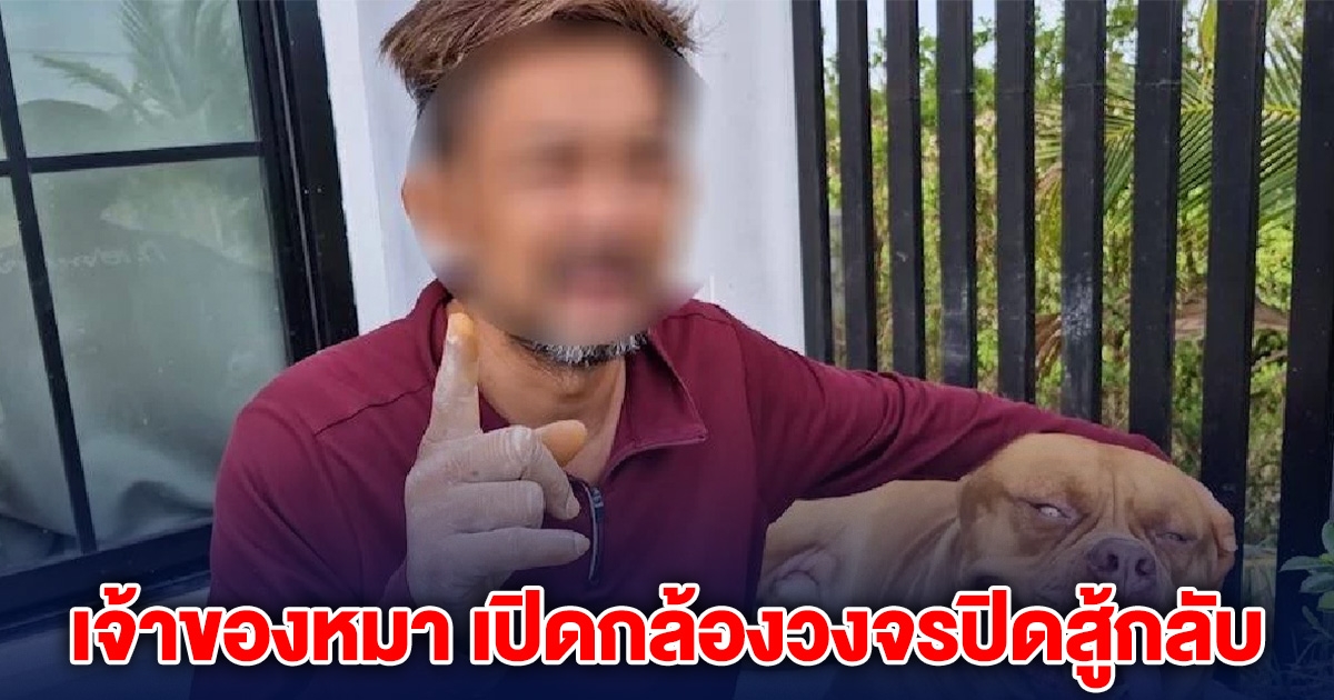 คดีพลิก! ตาโดนสุนัขพิทบูล กระโจนใส่รถล้ม เจ้าของเปิดกล้องวงจรปิดสู้กลับ