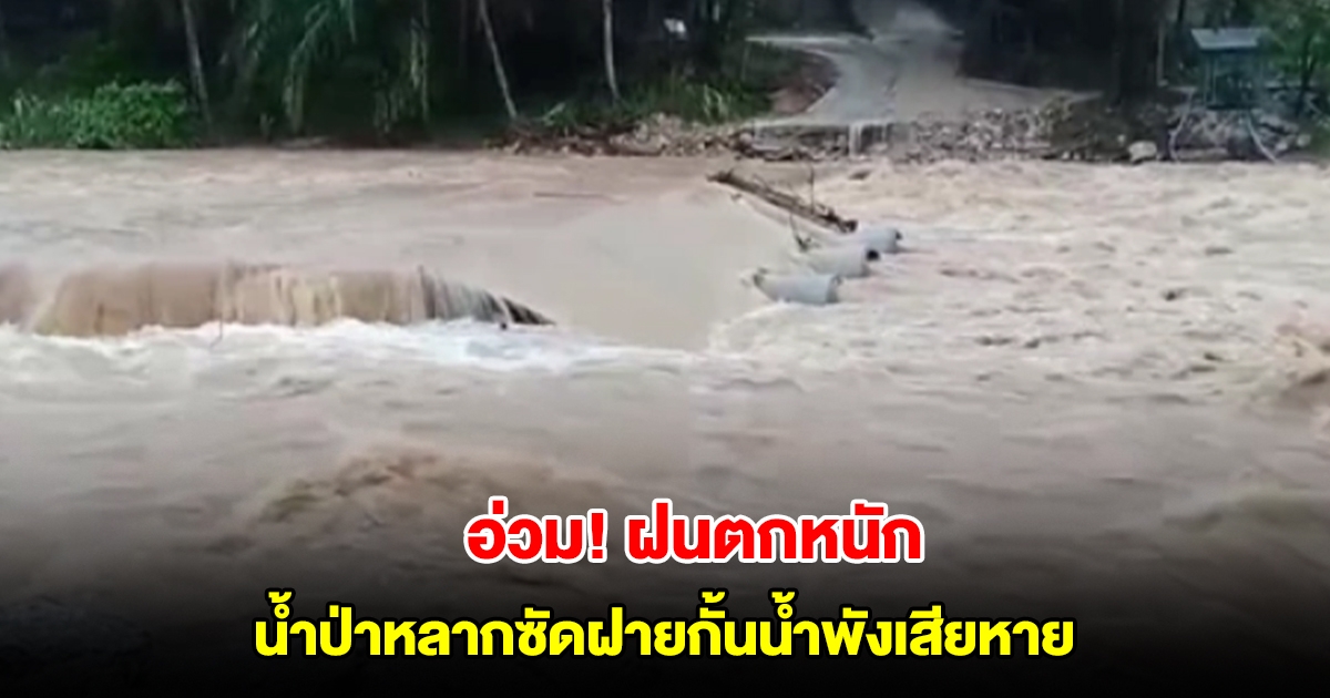 สุราษฎร์ธานีฝนตกหนัก น้ำป่าหลากซัดฝายกั้นน้ำพังเสียหาย