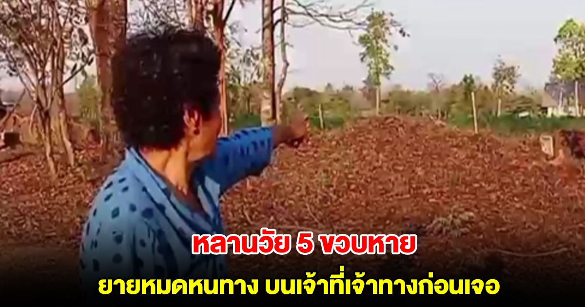 ยายใจเสีย! หลานวัย 5 ขวบหาย หมดหนทางบนเจ้าที่เจ้าทางก่อนเจอ