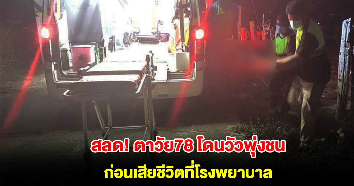 สลด! ตาวัย 78 ปี โดนวัวพุ่งชนสาหัส ก่อนเสียชีวิตที่โรงพยาบาล