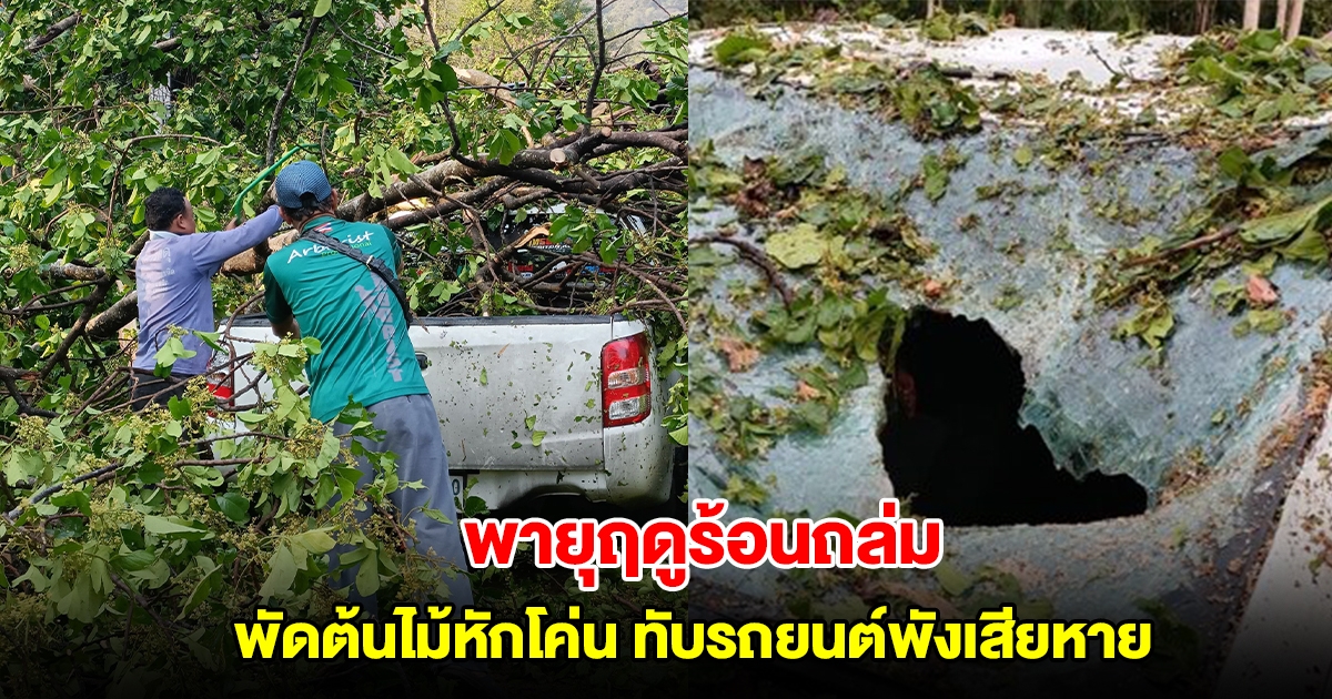 พายุฤดูร้อนถล่ม พัดต้นไม้หักโค่น ทับบ้านเรือน รถยนต์พังเสียหาย