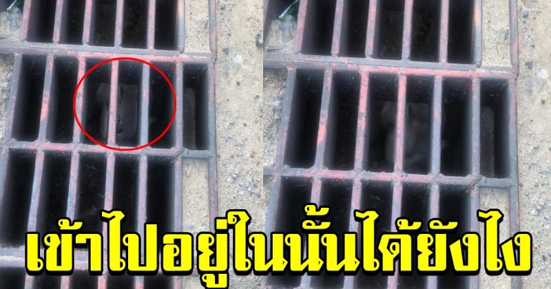 หนุ่มเดินผ่านท่อระบายน้ำ