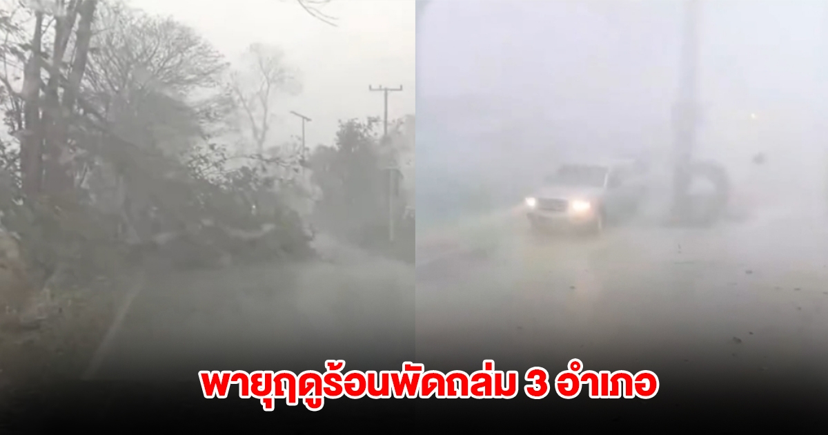 โคราชอ่วม! พายุฤดูร้อนพัดถล่ม 3 อำเภอ ต้นไม้โค่นล้ม