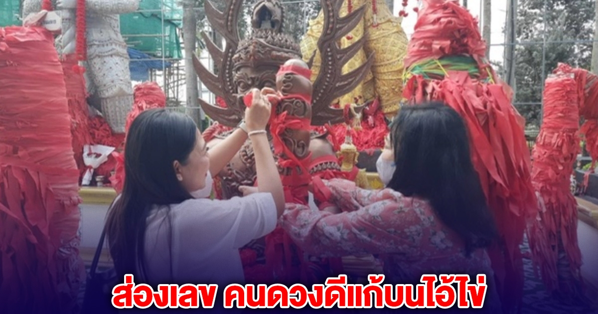 คนดวงดีแก้บนไอ้ไข่ วัดดอนใหญ่ ก่อนจุดประทัดได้เลข