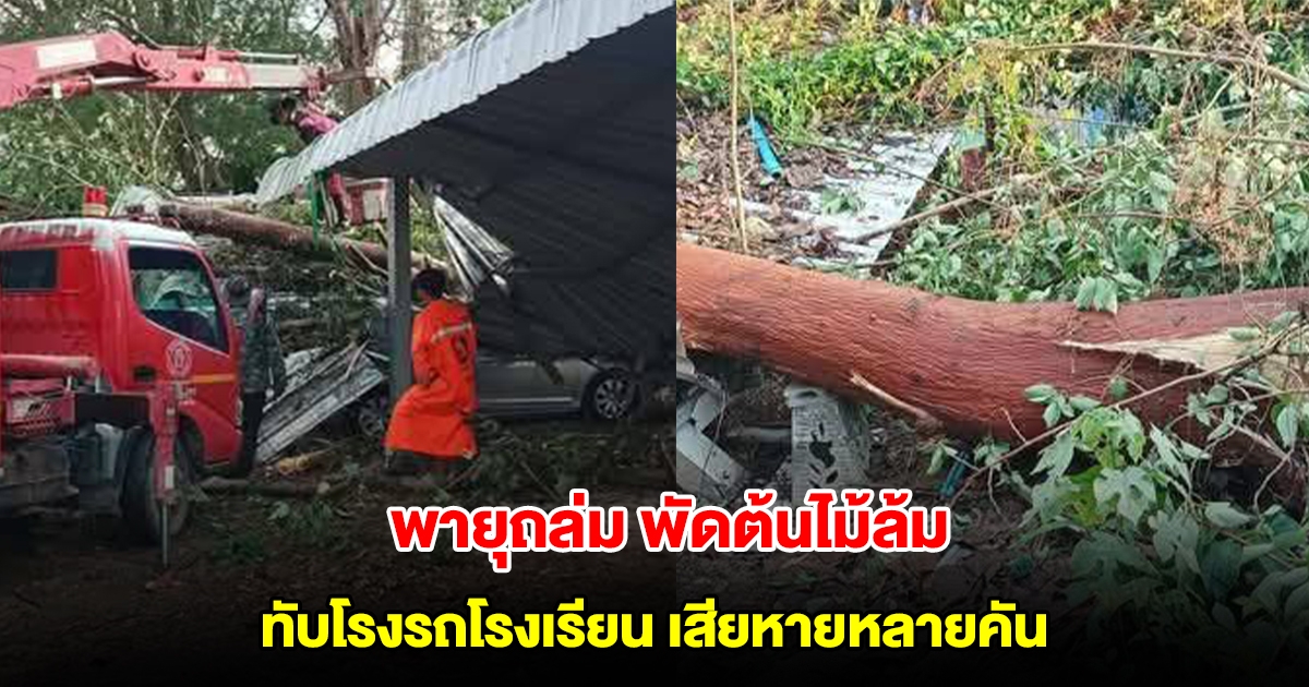 พายุฝนฟ้าคะนอง พัดต้นไม้ใหญ่ล้มทับโรงรถโรงเรียน เสียหายหลายคัน