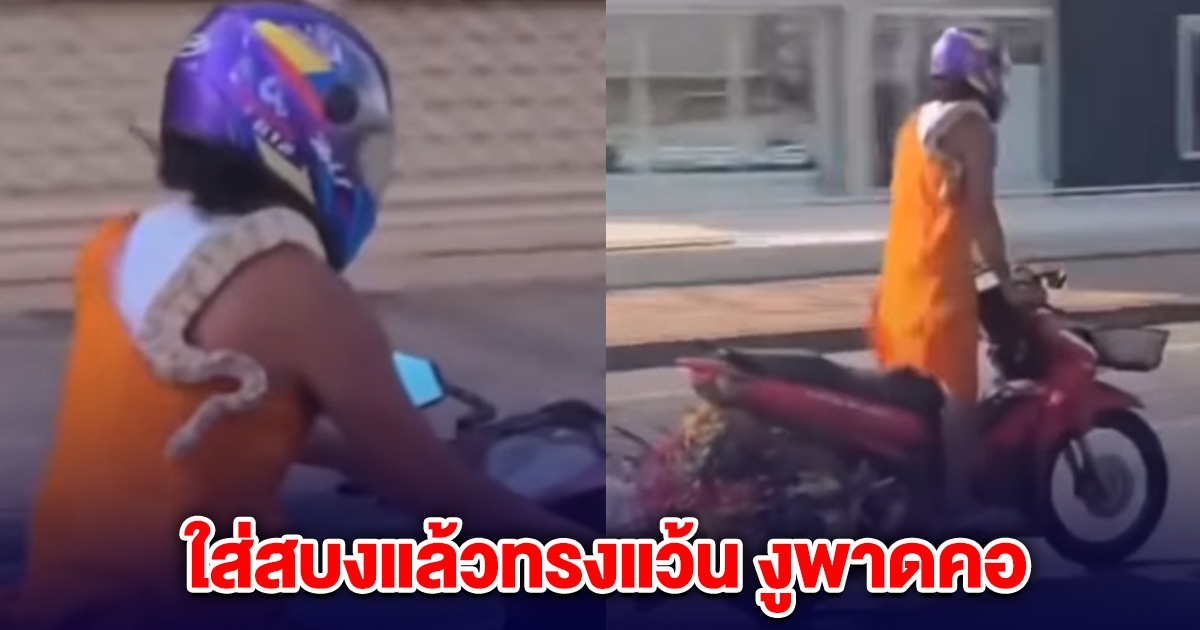 วิจารณ์สนั่น ชายใส่สบง แว้นรถ จยย. มีงูพาดคอ