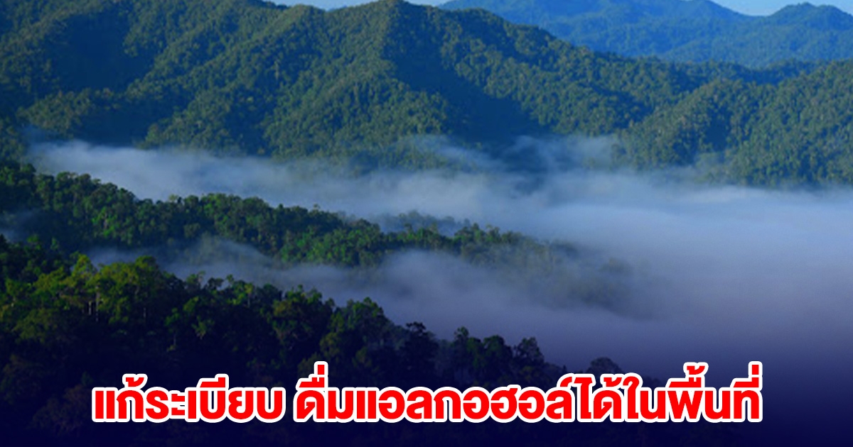 กรมอุทยานฯ แก้ระเบียบ ดื่มแอลกอฮอล์ได้ในพื้นที่