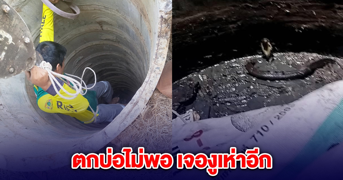 พนง.จดไฟ พลัดตกบ่อบาดาล ขาหัก ช็อกซ้ำเจองูเห่าในบ่อ