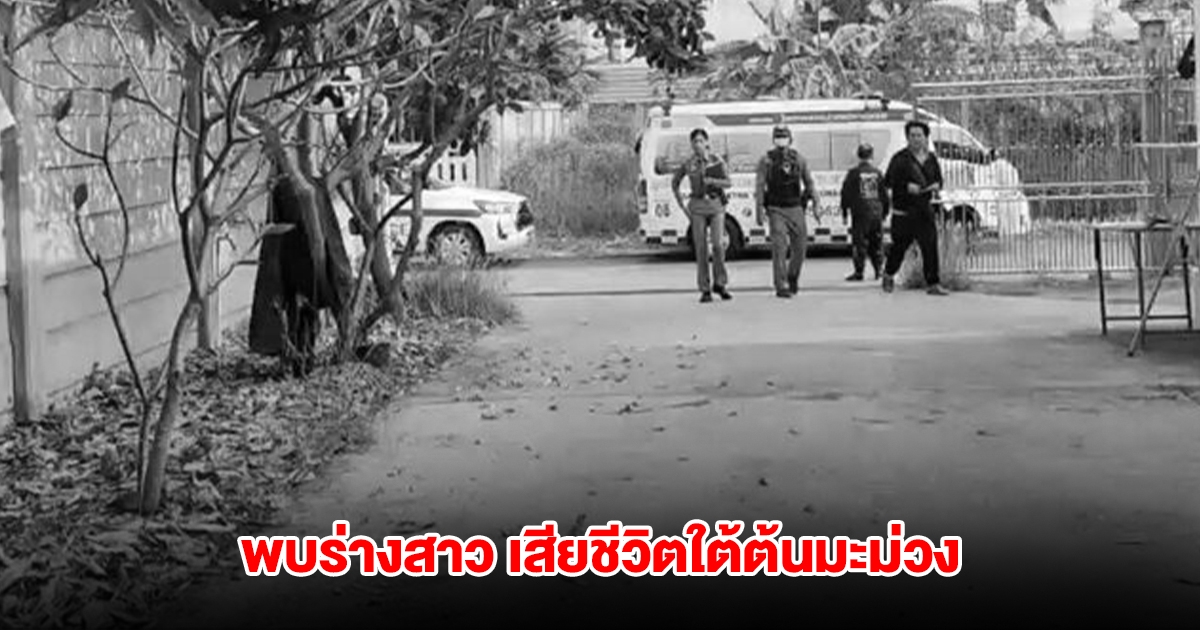ช็อก! พบร่างสาว เสียชีวิตใต้ต้นมะม่วง