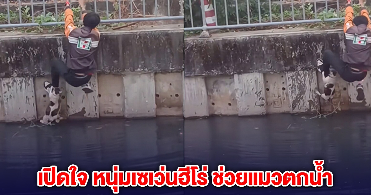เปิดใจ หนุ่มเซเว่นฮีโร่ ช่วยแมวตกน้ำ