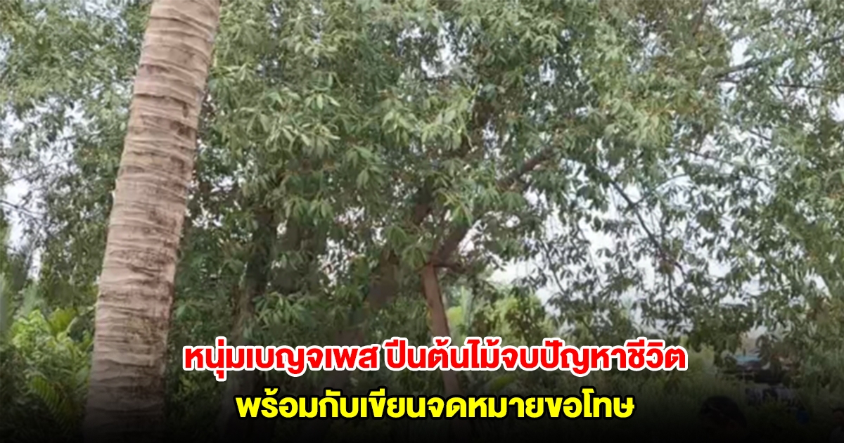 หนุ่มเบญจเพส ปีนต้นไม้จบปัญหาชีวิต พร้อมกับเขียนจดหมายขอโทษ