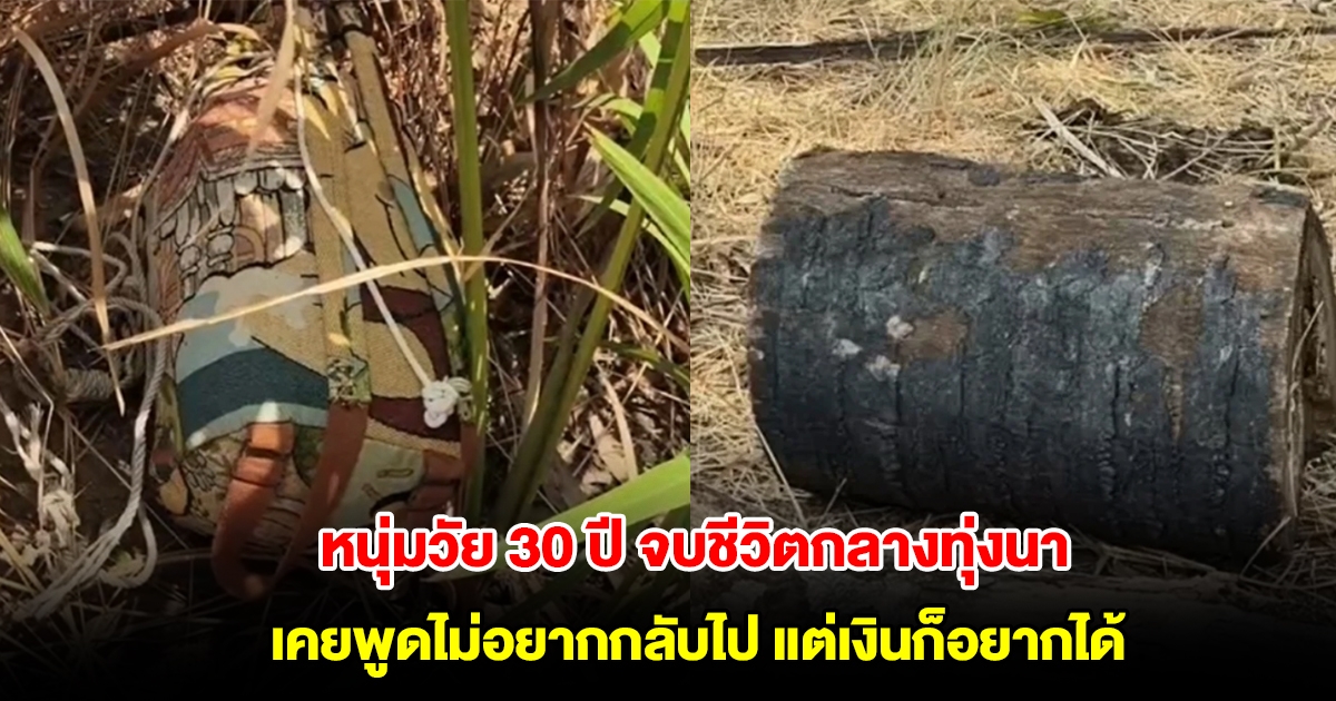 หนุ่มวัย 30 ปี จบชีวิตกลางทุ่งนา แม่เผยลูกชายกำลังจะกลับไปทำงานที่ไต้หวัน เคยพูดไว้ไม่อยากกลับไป แต่เงินก็อยากได้
