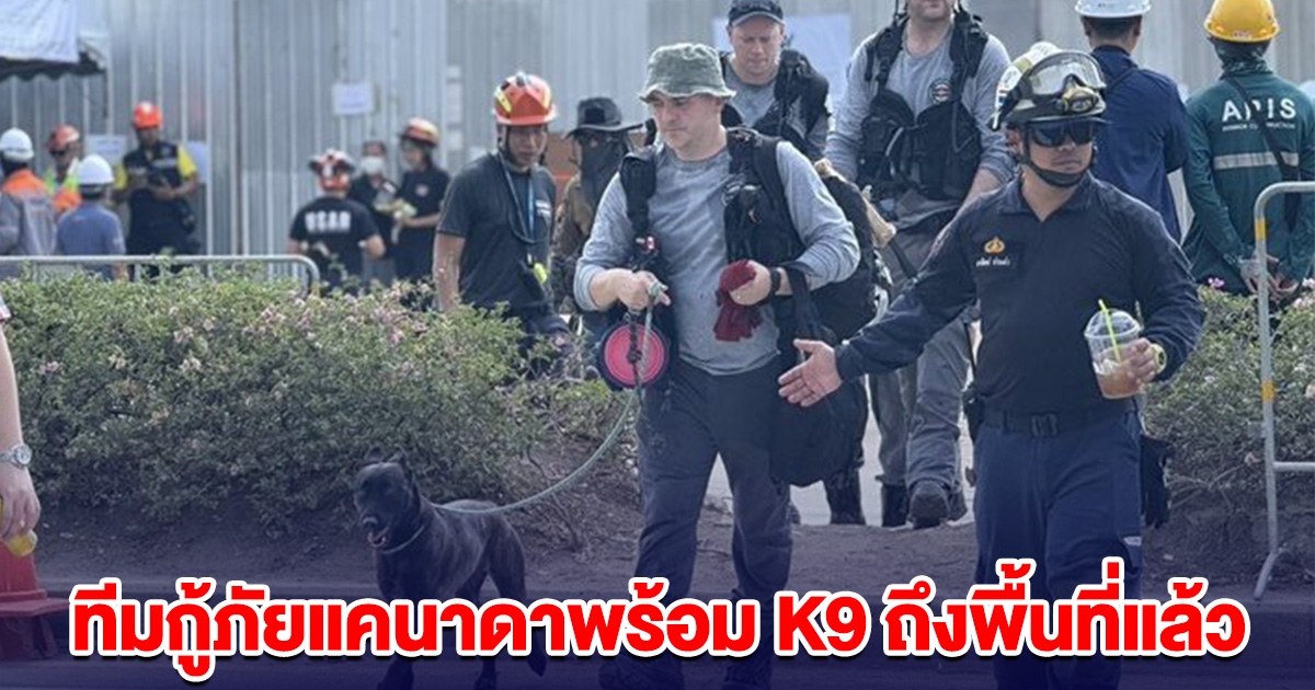 ทีมกู้ภัยแคนาดาพร้อม K9 ถึงพื้นที่ตึก สตง.ถล่มแล้ว พร้อมช่วยเหลือ