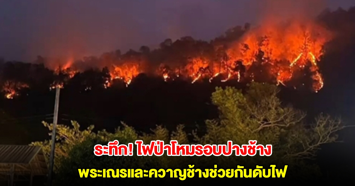 ระทึก! ไฟป่าโหมรอบปางช้าง อ.แม่แตง พระเณรและควาญช้างช่วยกันดับไฟ