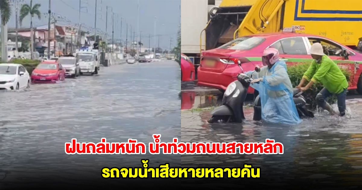 เปิดภาพสมุทรปราการ หลังฝนถล่มหนัก น้ำท่วมถนนสายหลัก รถจมน้ำเสียหายหลายคัน